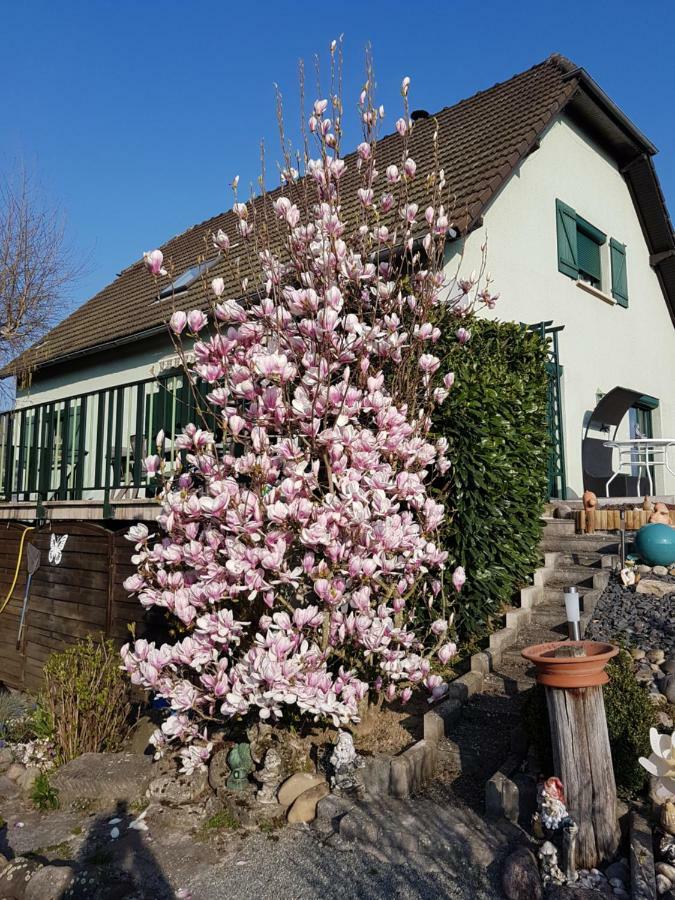 Le Nid Fleuri De Cravanche Exterior photo